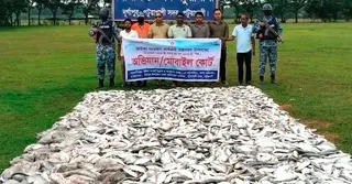 পটুয়াখালীতে ১৪ লাখ টাকার সামুদ্রিক মাছ-জাটকা জব্দ, আটক ৩